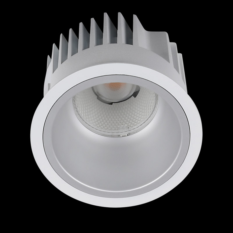 PROLED_DOWNLIGHT-ARENA-100_B04_97314d9757