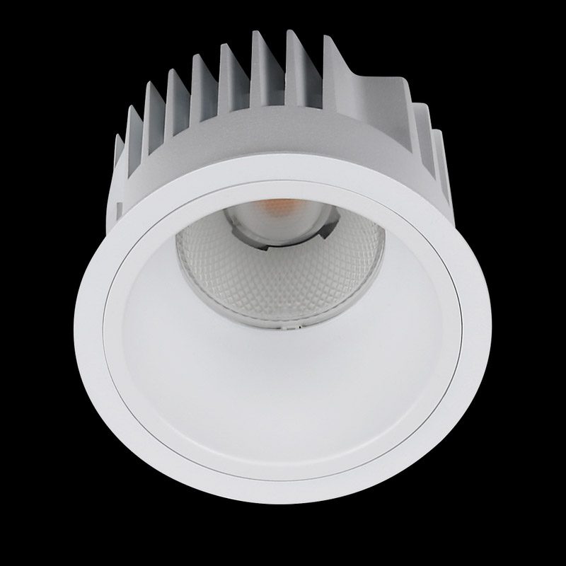 PROLED_DOWNLIGHT-ARENA-100_B05_04623ad588