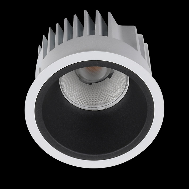 PROLED_DOWNLIGHT-ARENA-100_B06_8780354c9d